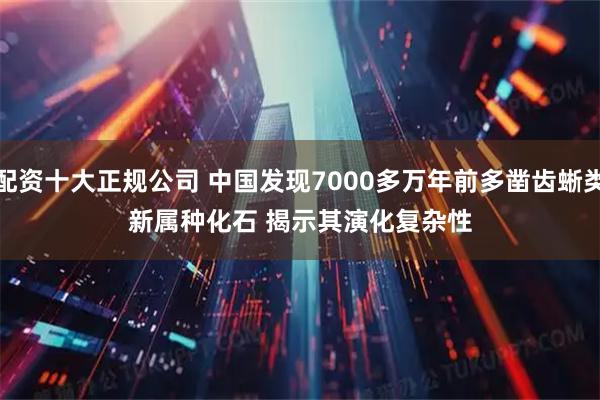 配资十大正规公司 中国发现7000多万年前多凿齿蜥类新属种化石 揭示其演化复杂性